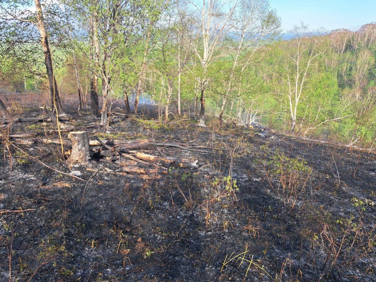 Очередной лесной пожар ликвидировали огнеборцы на Камчатке